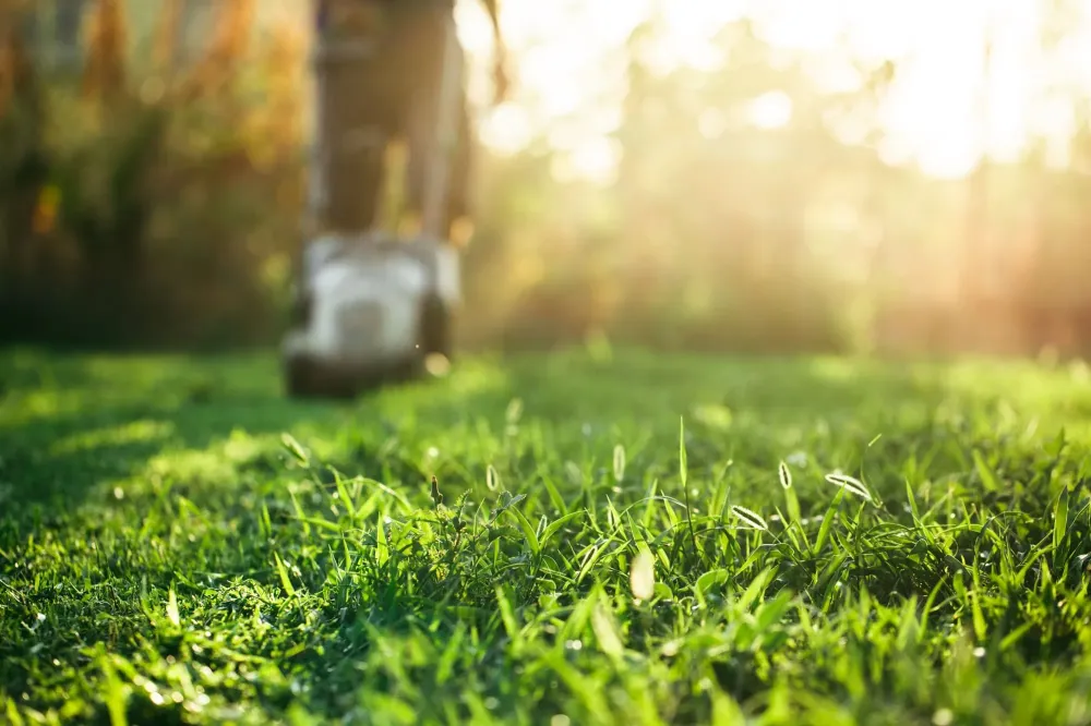 entretien jardin près de Voiron